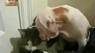 ❤❤여권위조여권위조pf-seoul＠bk.ru한국여권위조여권위조❤