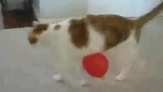 ❤❤여권브로커여권브로커pf-seoul＠bk.ru한국여권브로커여권브로커❤