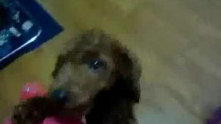 ❤❤전자여권위조여권제작pf-seoul＠bk.ru한국전자여권위조여권제작❤