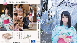 目の前に現れた小さな小鳥。ミニマム電撃移籍。 もりの小鳥 MUM-316