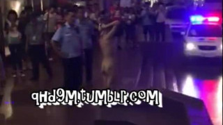 有些视频无论如何都传不上来，不知道tumblr的视频检测机制，那就传能传上来的吧，仍然是天津滨江道裸女 你操啥