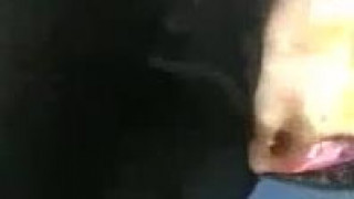 요즘 시도때도없이 꼴리시진않나요? 제가 알려드리는 대로만하면 쉽게 여자를 꼬셔서 ㅁㅌ로데려 가실수있습니다 아무래도 무인증 기간이라 그런지 학생들이많아요 전 전주사는데 여긴 수도권처럼 사람많지도 않은데 학생이랑 만남가져봤습니다 6번에 2번이요 ㅎ… 사람이많지도않은데 학생이랑잡히는거보면 수도권은 엄청많겠죠? 개인정보도 필요없습니다 가입하시고 여러여자만나보세요 ㅎ ㅎ