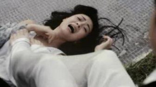 葉子楣_特區愛奴_精選片段