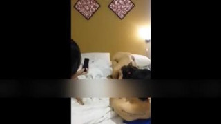 曾经清纯的班花被老公带去参加换偶联谊聚会