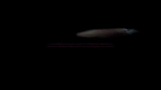 แอบถ่ายสาวไทยอาบน้ำ แต่งตัว ชุด 2