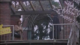 The Japanese Wife Next Door