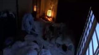 旅行に出れば羽を伸ばしてハメ外す！！旅先ハプニングSEX4時間