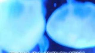 竹田ゆめ ナマ派 初中出し解禁