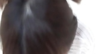 ヘアリージャパンホース