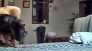 日本の成熟した浅見10