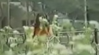 日本のヴィンテージ