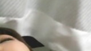 日本の自家製アイカ