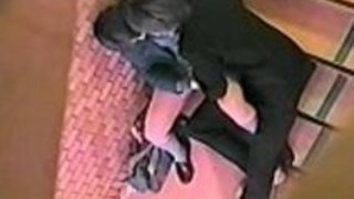 貴重なアジアのひよこが感じた