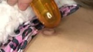 日本の家族のセックス