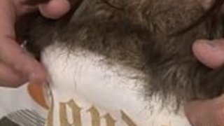 女子学生はいじめを待つことができませんでした