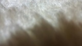 JPNセクシーマイ妻