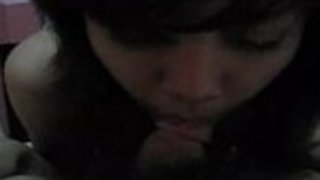 彼女の浸したぬれた猫を耕して閉じる