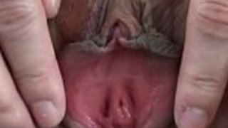 日本hoが猫を広げ