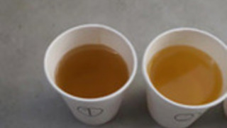 日本のホPEESを入浴