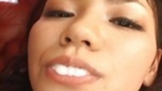 楓人形はビーバーは、こすりました