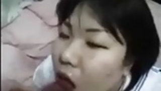 16日本のアマチュア成熟しました