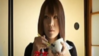 日本さくらレポート第3弾