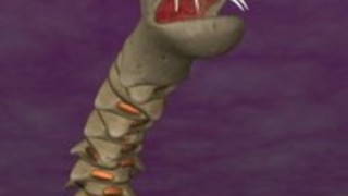 youllのは、私の好みを決して忘れない