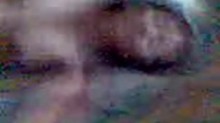 マレーisteri STIM