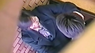 貴重なアジアのひよこが出感じた