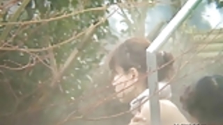 クローズアップ写真のバスプール