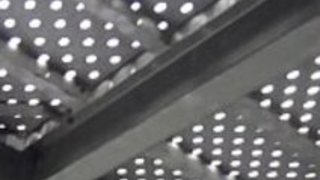 日本のかわい子ちゃん