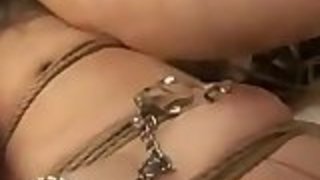 楽しい日本の緊縛