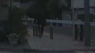 フェラ 大橋未久 激 濃密 大橋