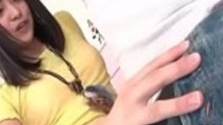 アイウチのための難しい犬のラミングアクション