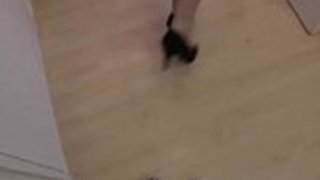 無修正日本の足のストッキング妻とパンティーストッキングの足の事件