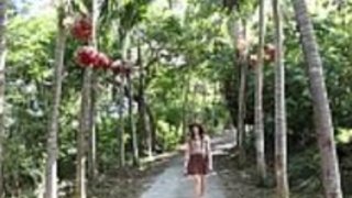 熱帯島の日本人