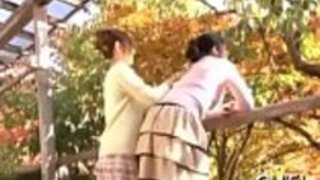 日本のビンボは、ハードシャンを楽しむ