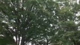 中出し 初美沙希 生ハメ 初 テク