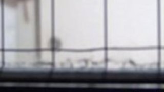 日本人の女が犯される