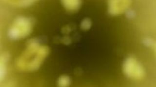 エロアニメ 勃起